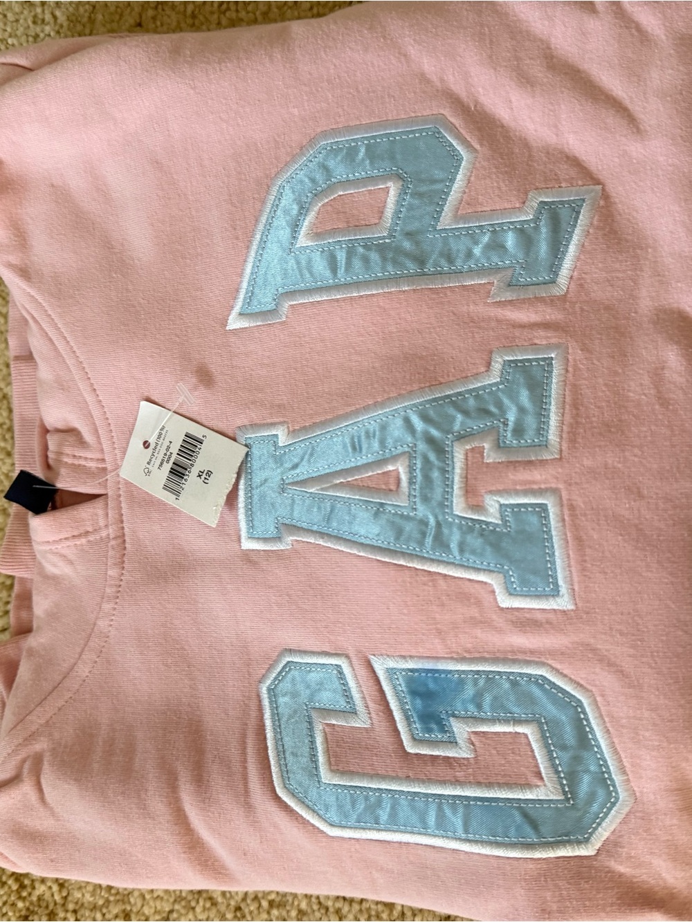 GAP Pink Pullover Sweatshirt with Light Blue Logo Patch
